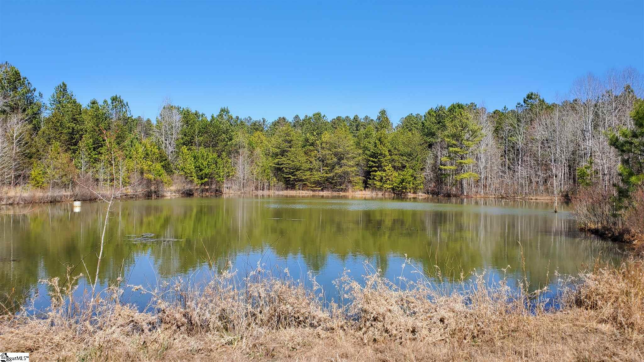 131 Croxton Road Williamston, SC 29697 - Photo 34 of 36
