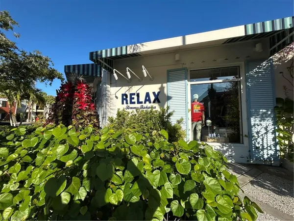 a view of a bunch of flowers