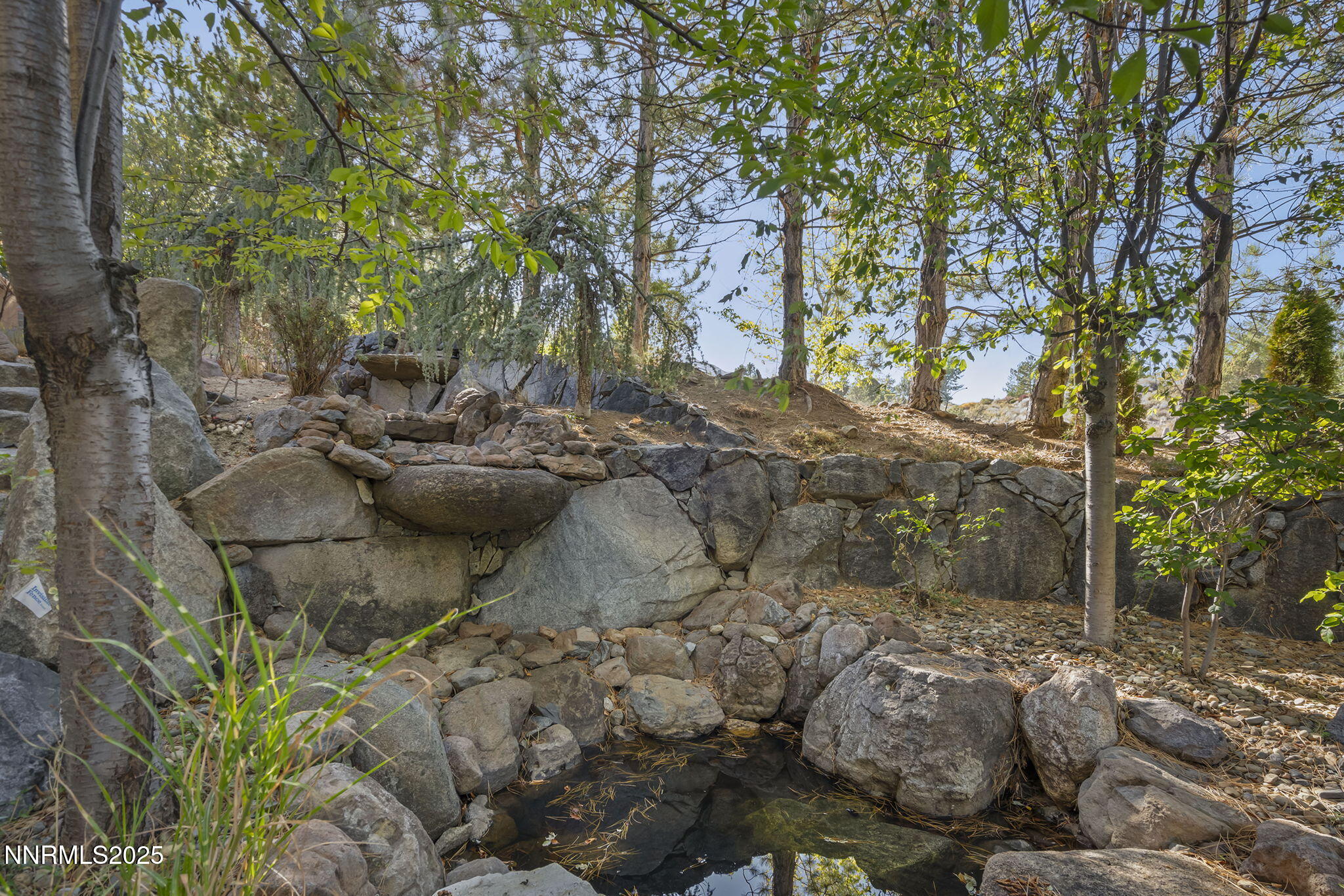 20 Promontory Pointe Reno, NV 89519 - Photo 60 of 61 60-web-or-mls-_DSC0363