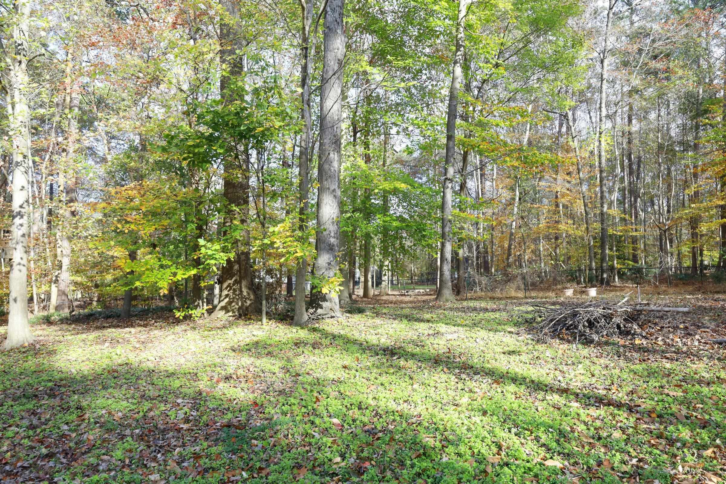 10904 Brass Kettle Road Raleigh, NC 27614 - Photo 37 of 41 Photo 42