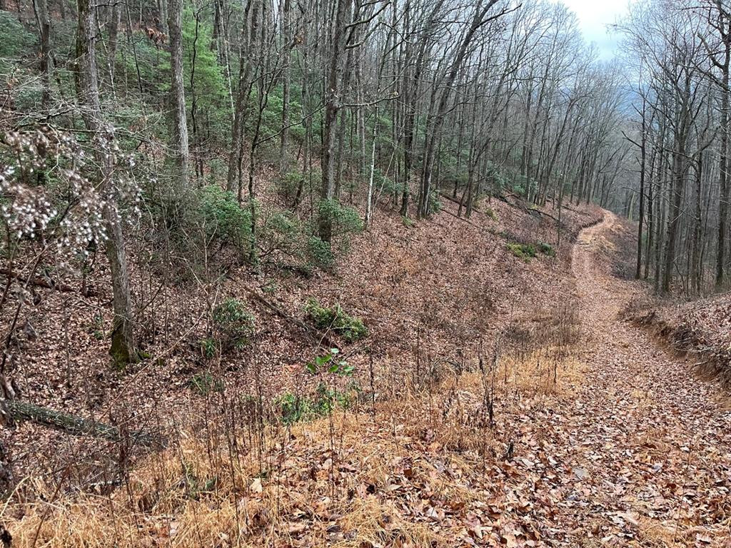 Tbd Burrell Mountain Road Murphy, NC 28906 - Photo 21 of 28
