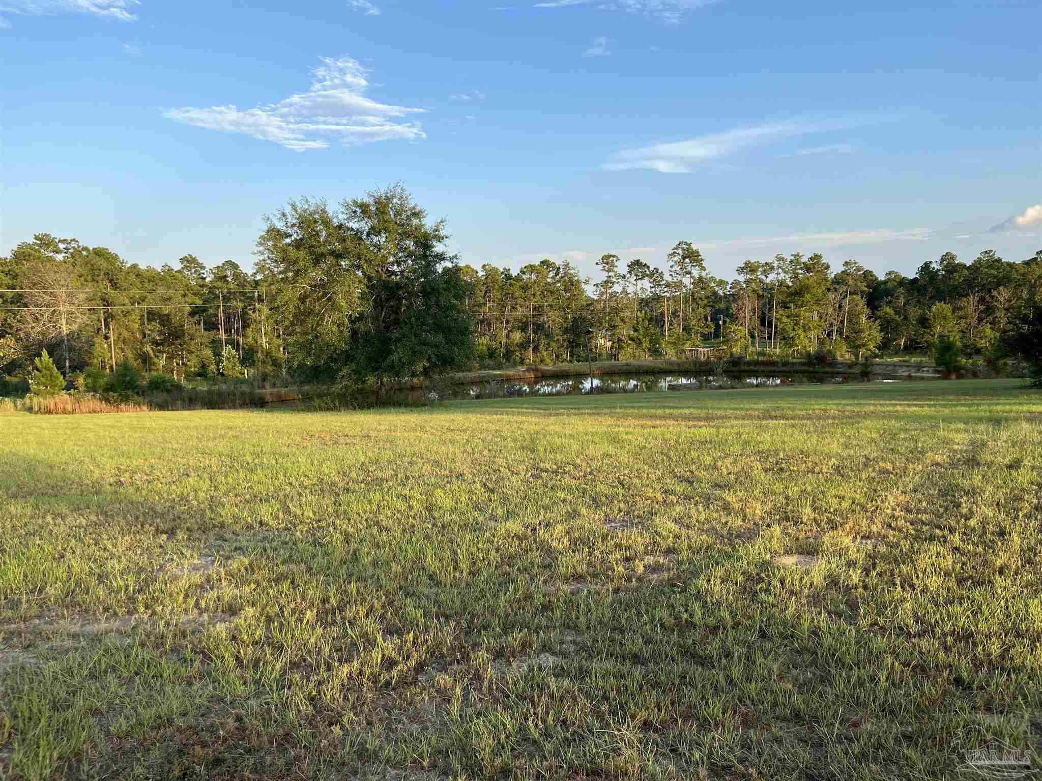 Ten Ten Mile Road Pace, FL 32571 - Photo 4 of 4