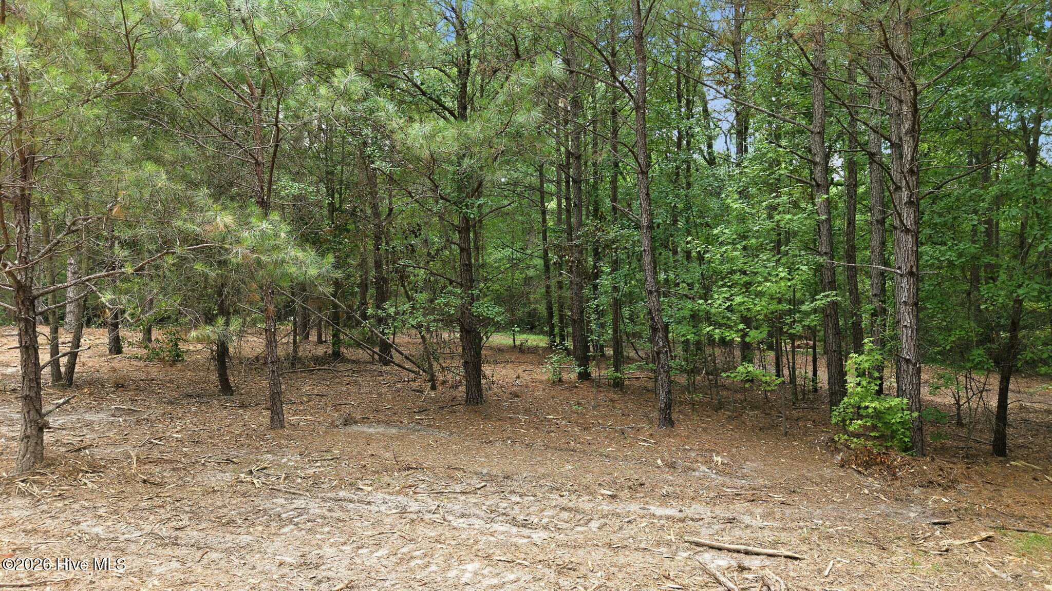 481 Cypress Farm Road Cameron, NC 28326 - Photo 8 of 11