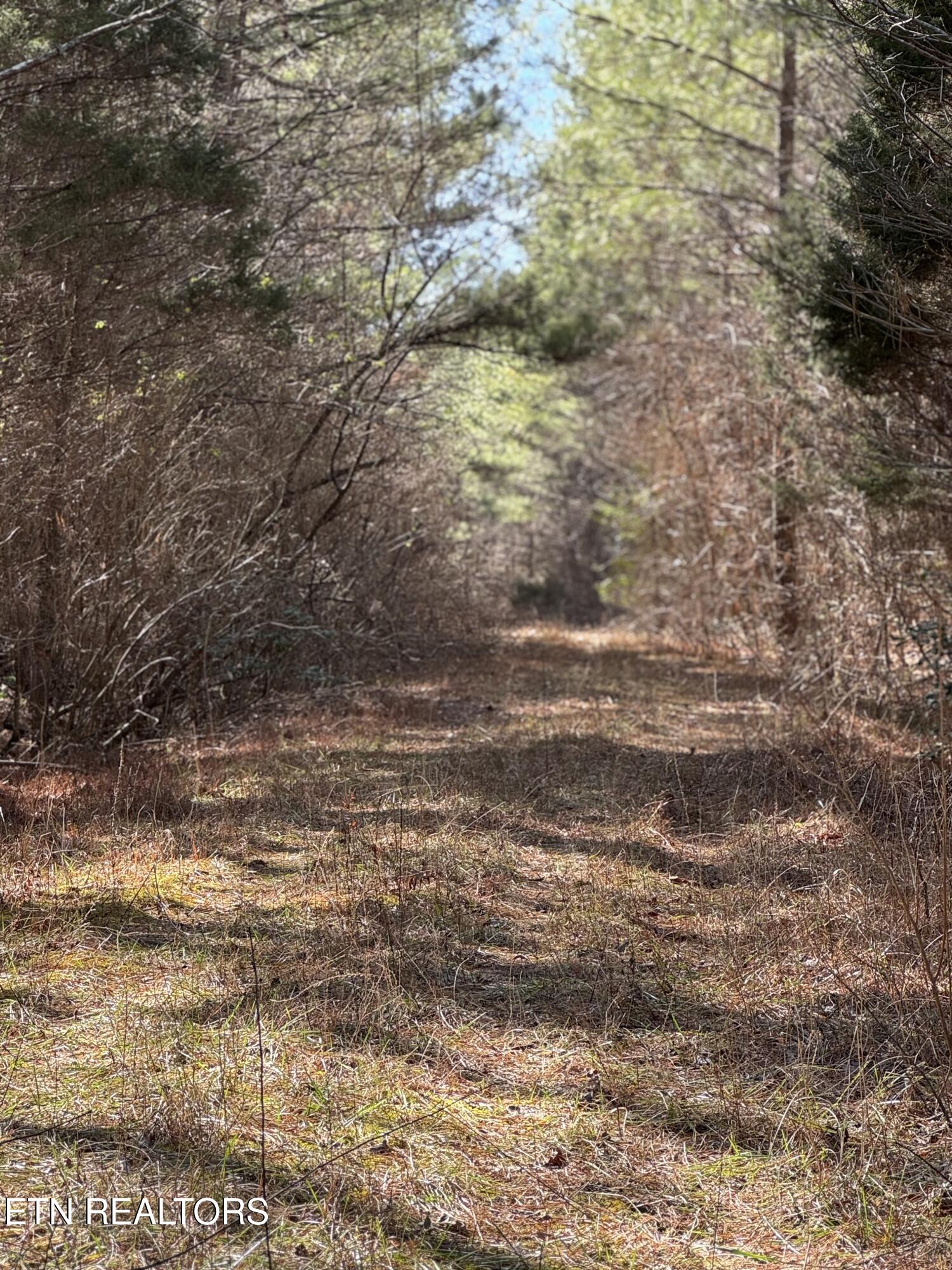 Sam Summers Road Rockwood, TN 37854 - Photo 3 of 4 IMG_7553