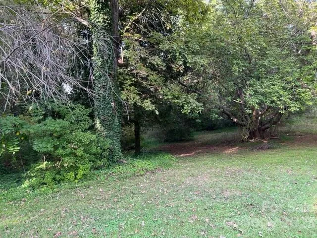 a view of backyard with green space