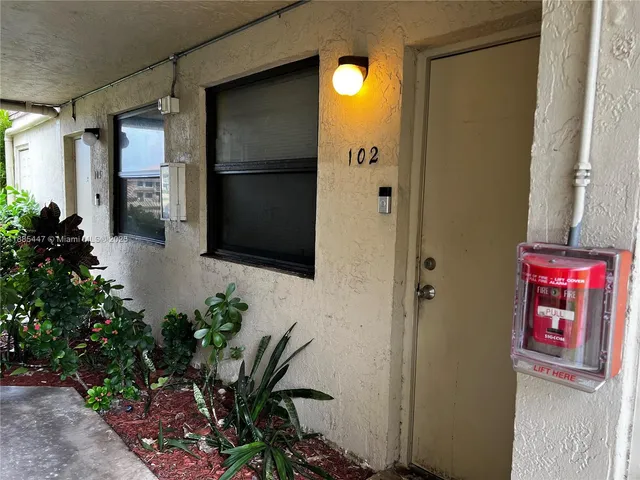 a plant that is in front of a door