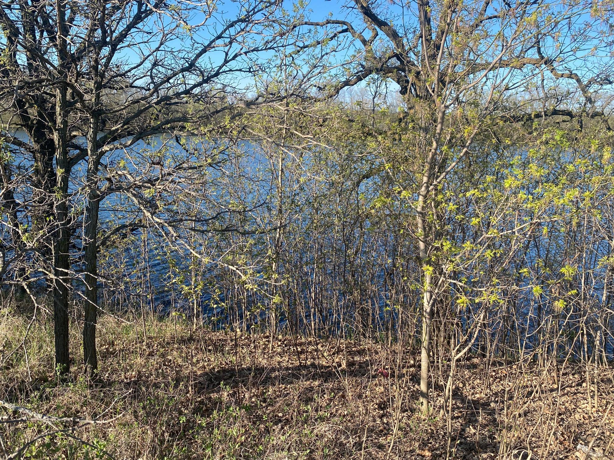 429 Walnut Avenue West Frazee, MN 56544 - Photo 3 of 8