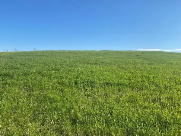 $99,000 | 429 Walnut Avenue West, Frazee, MN 56544