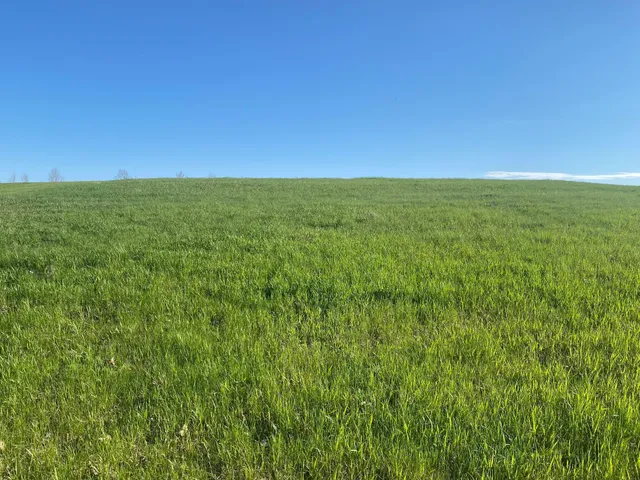 $99,000 | 429 Walnut Avenue West, Frazee, MN 56544