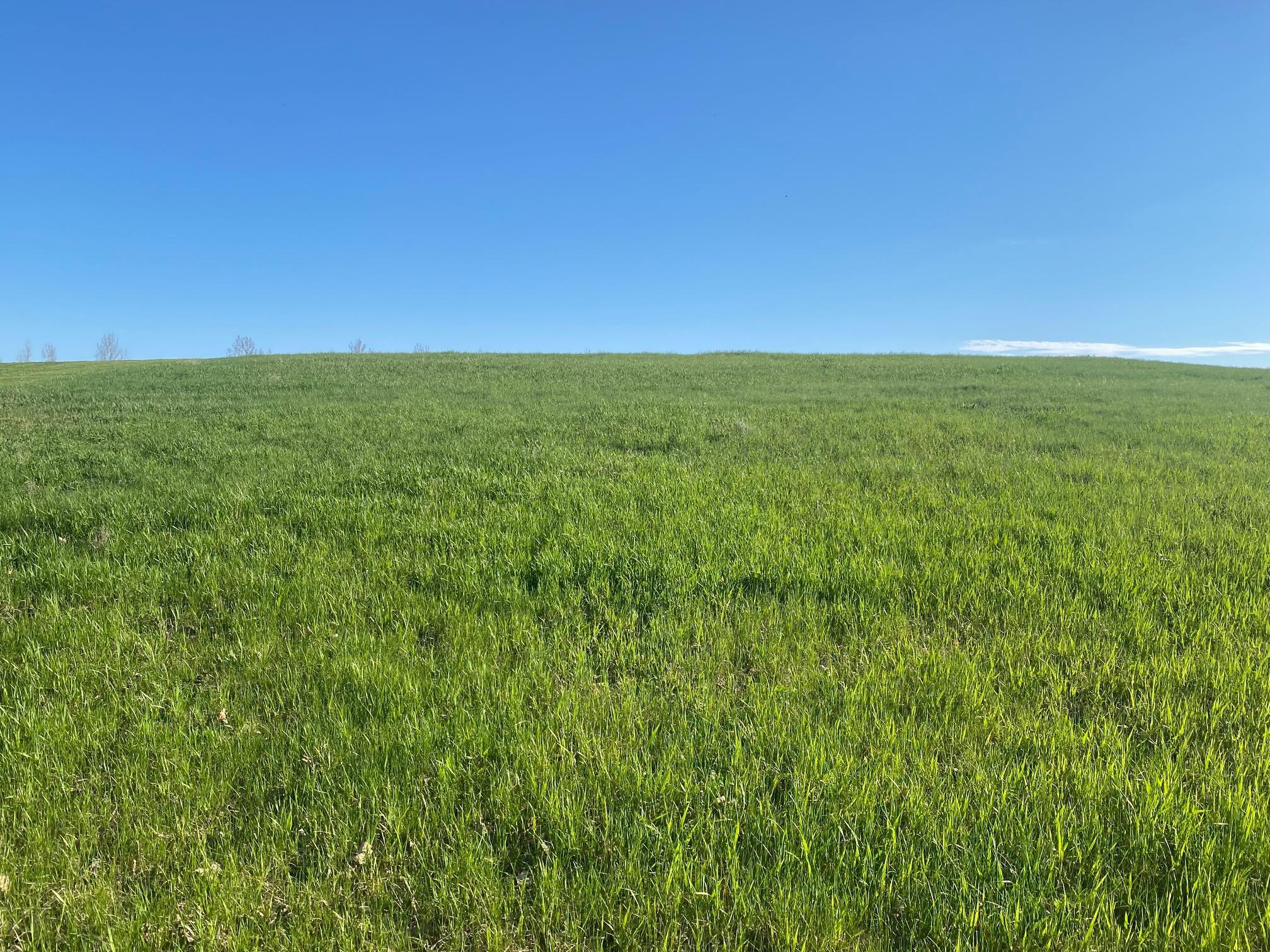 429 Walnut Avenue West Frazee, MN 56544 - Photo 5 of 8