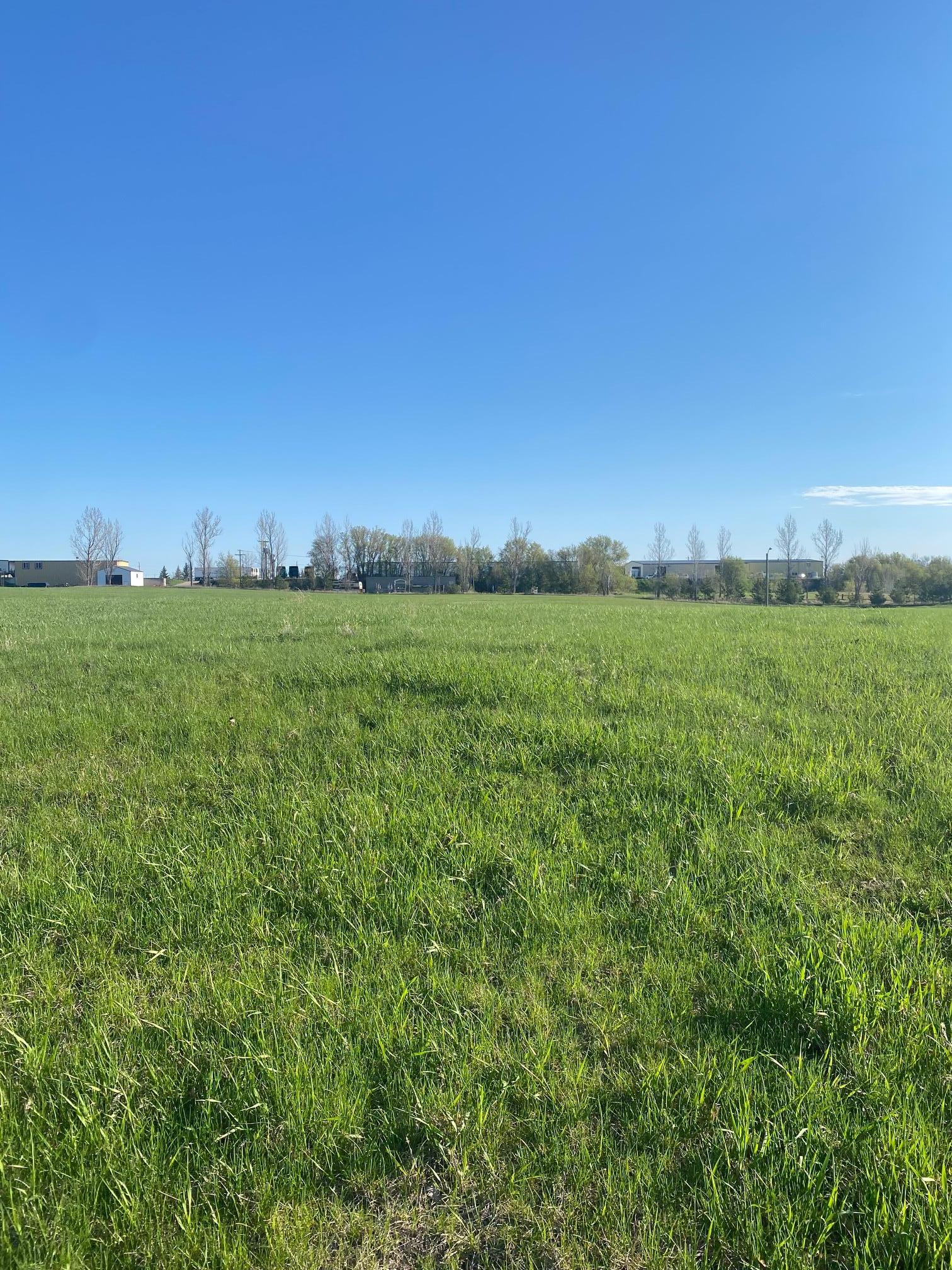 429 Walnut Avenue West Frazee, MN 56544 - Photo 8 of 8