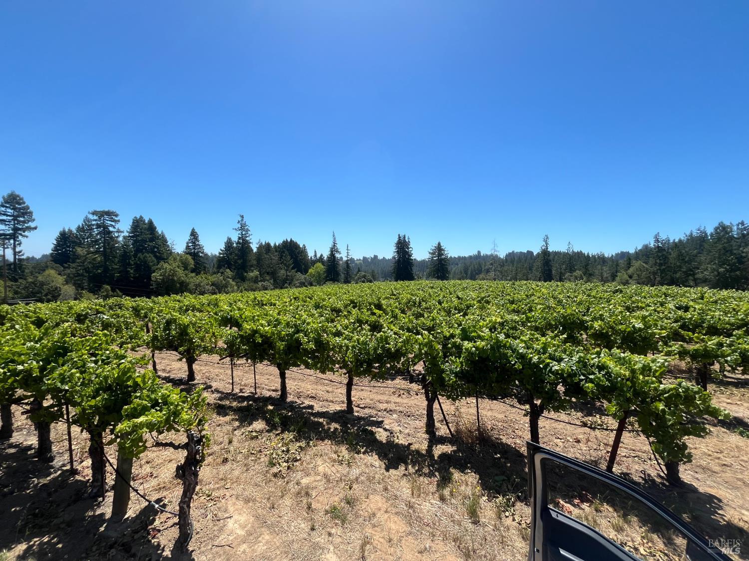 11480 Graton Road Sebastopol, CA 95472 - Photo 10 of 14