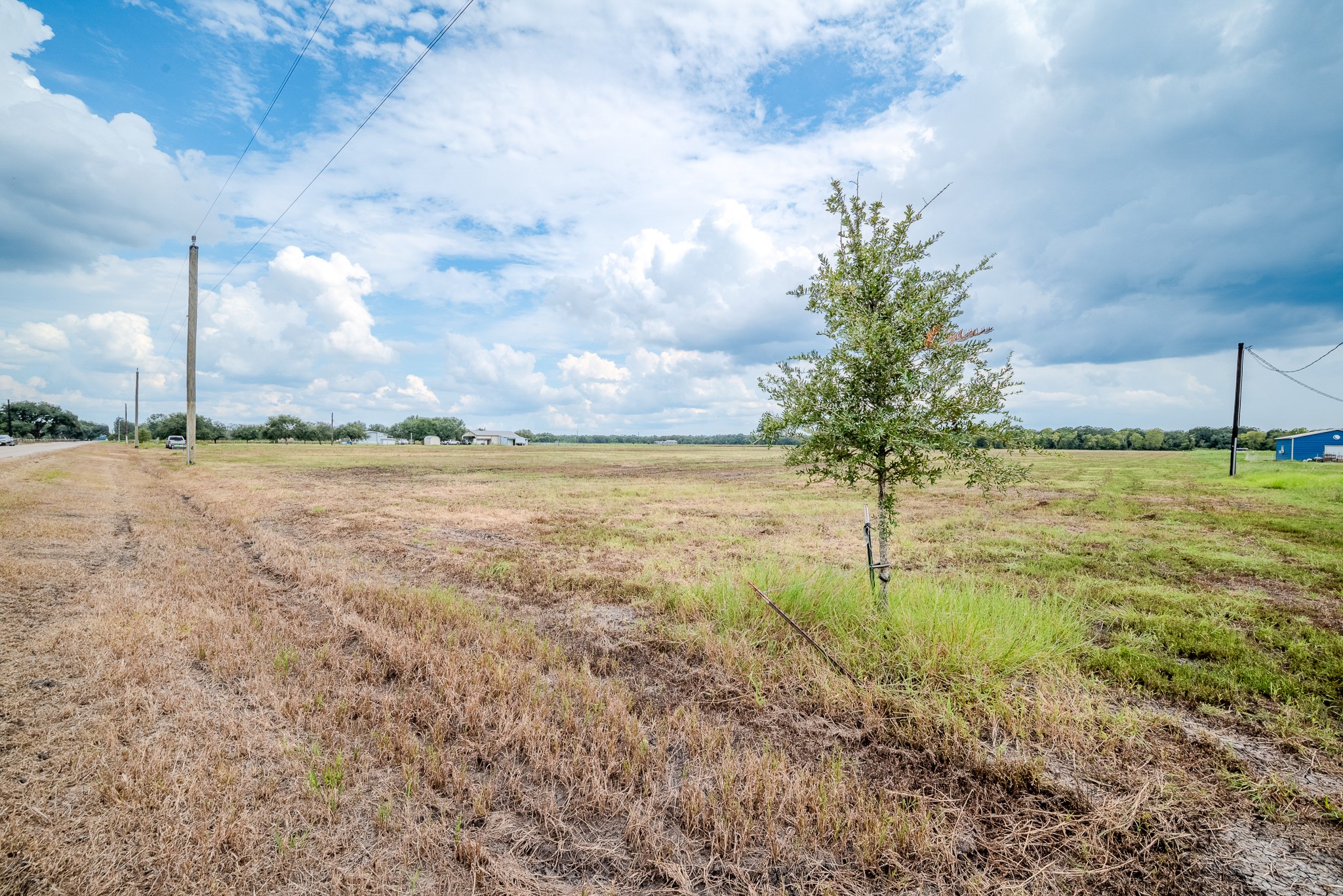 3 Charlie Meyer Road Damon, TX 77430 - Photo 13 of 37 a view of a yard with an tree