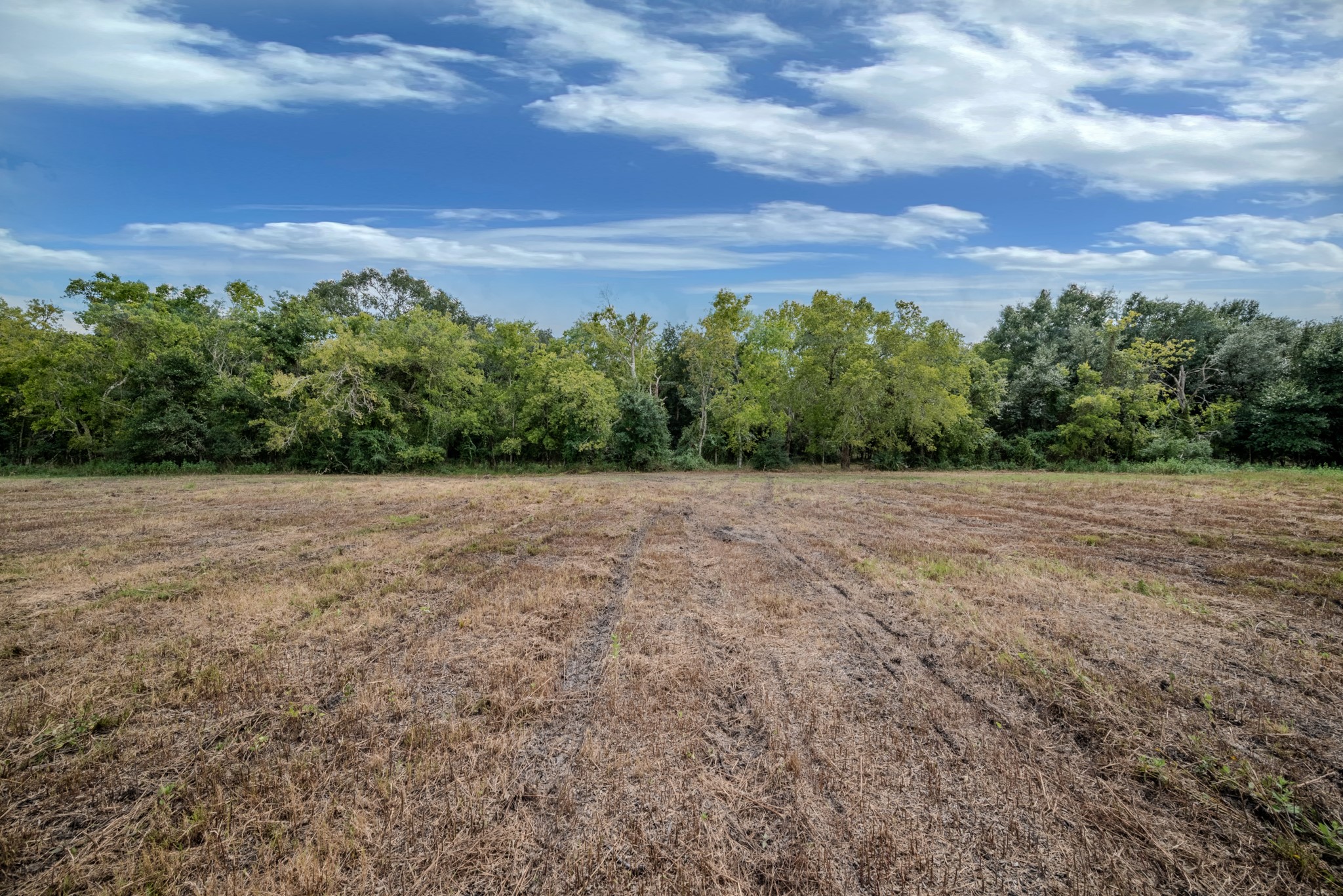 3 Charlie Meyer Road Damon, TX 77430 - Photo 17 of 37 a view of a field with a tree in the background