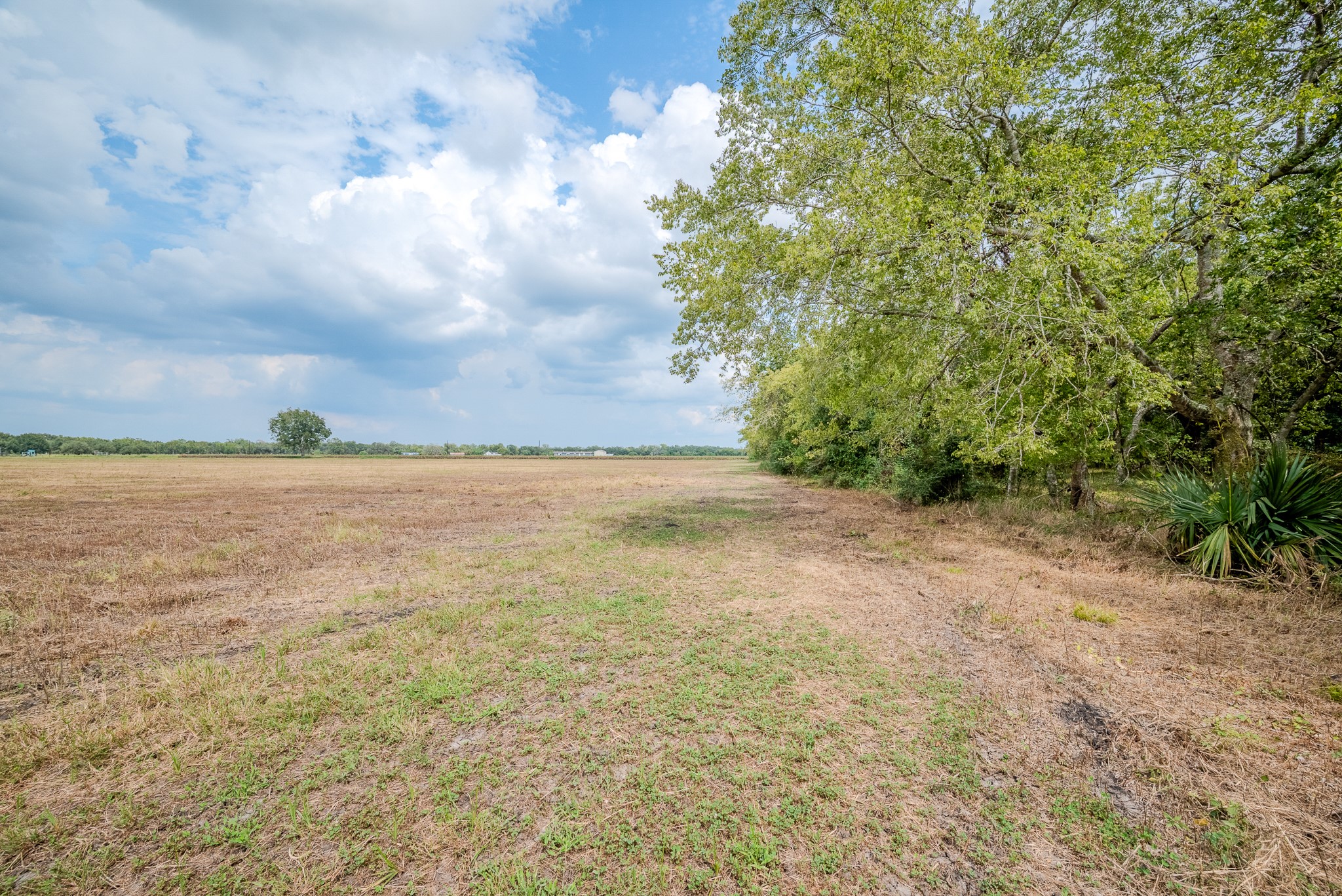 3 Charlie Meyer Road Damon, TX 77430 - Photo 19 of 37 a view of a lake view