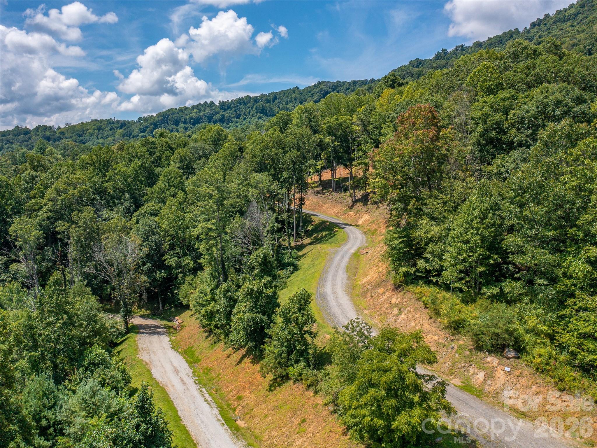 0 Locust Rough Mountain Road, Unit LOT 6 Burnsville, NC 28714 - Photo 12 of 26