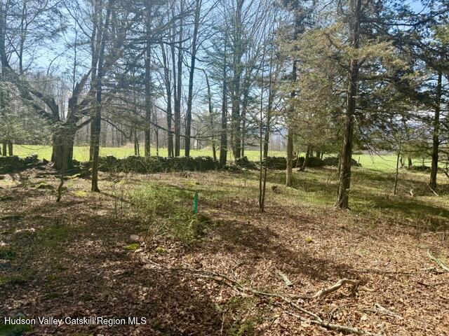 0 Van Etten Road Prattsville, NY 12468 - Photo 13 of 34 IMG_3151