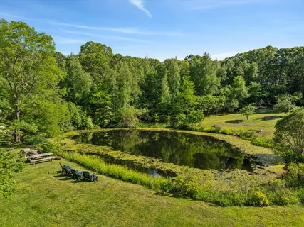 a view of a water pond with green yard