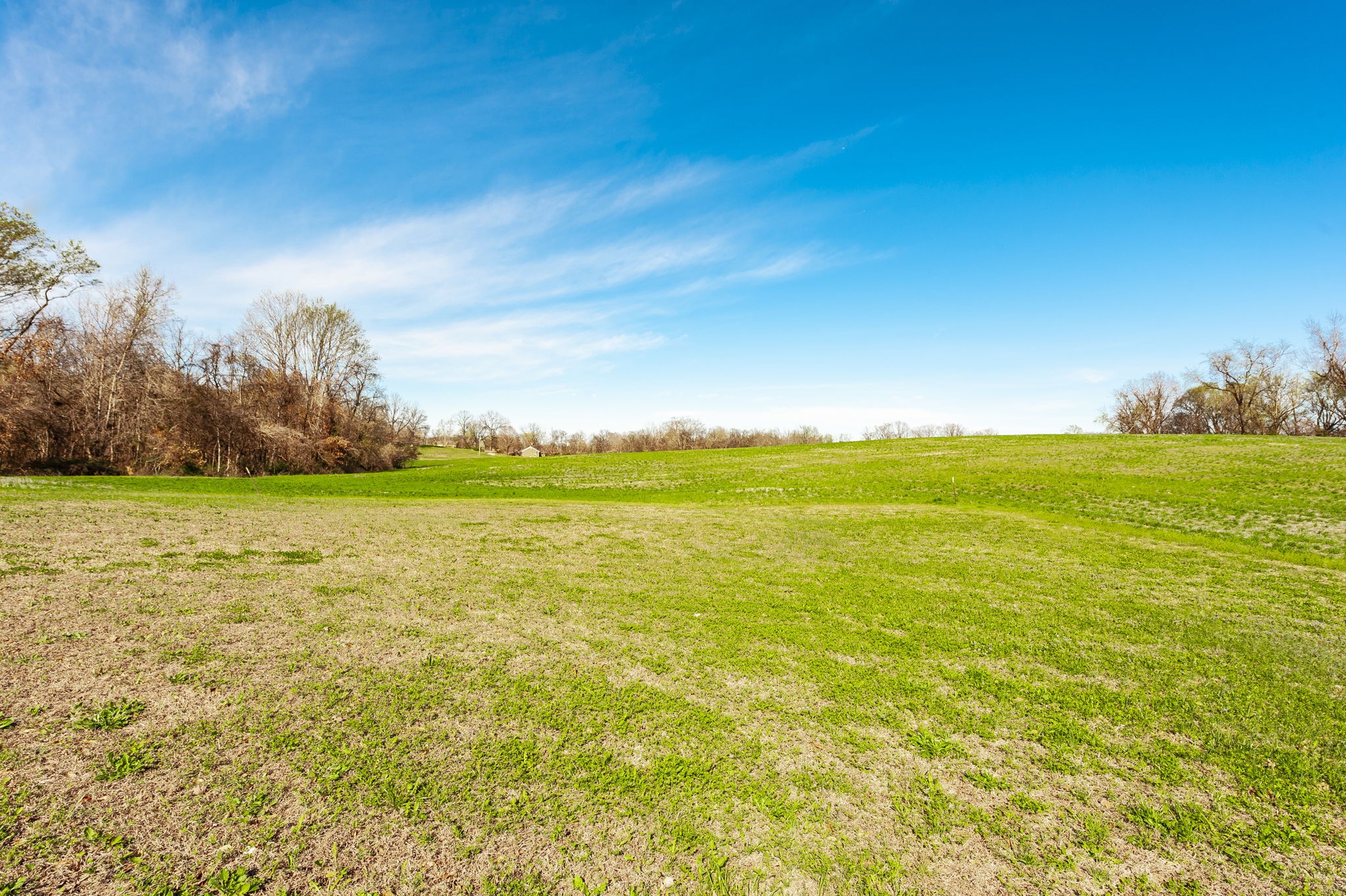 223 Cedar Hill Road Adams, TN 37010 - Photo 50 of 51 Gallery Image 50