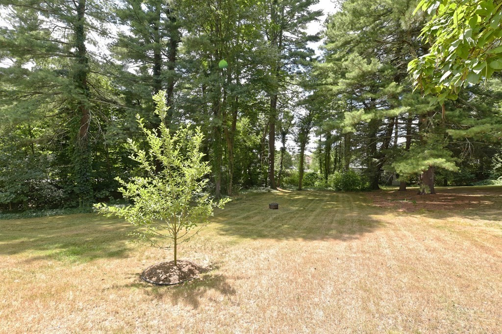 94 Ridge Street Millis, MA 02054 - Photo 32 of 34 Gallery Image 32