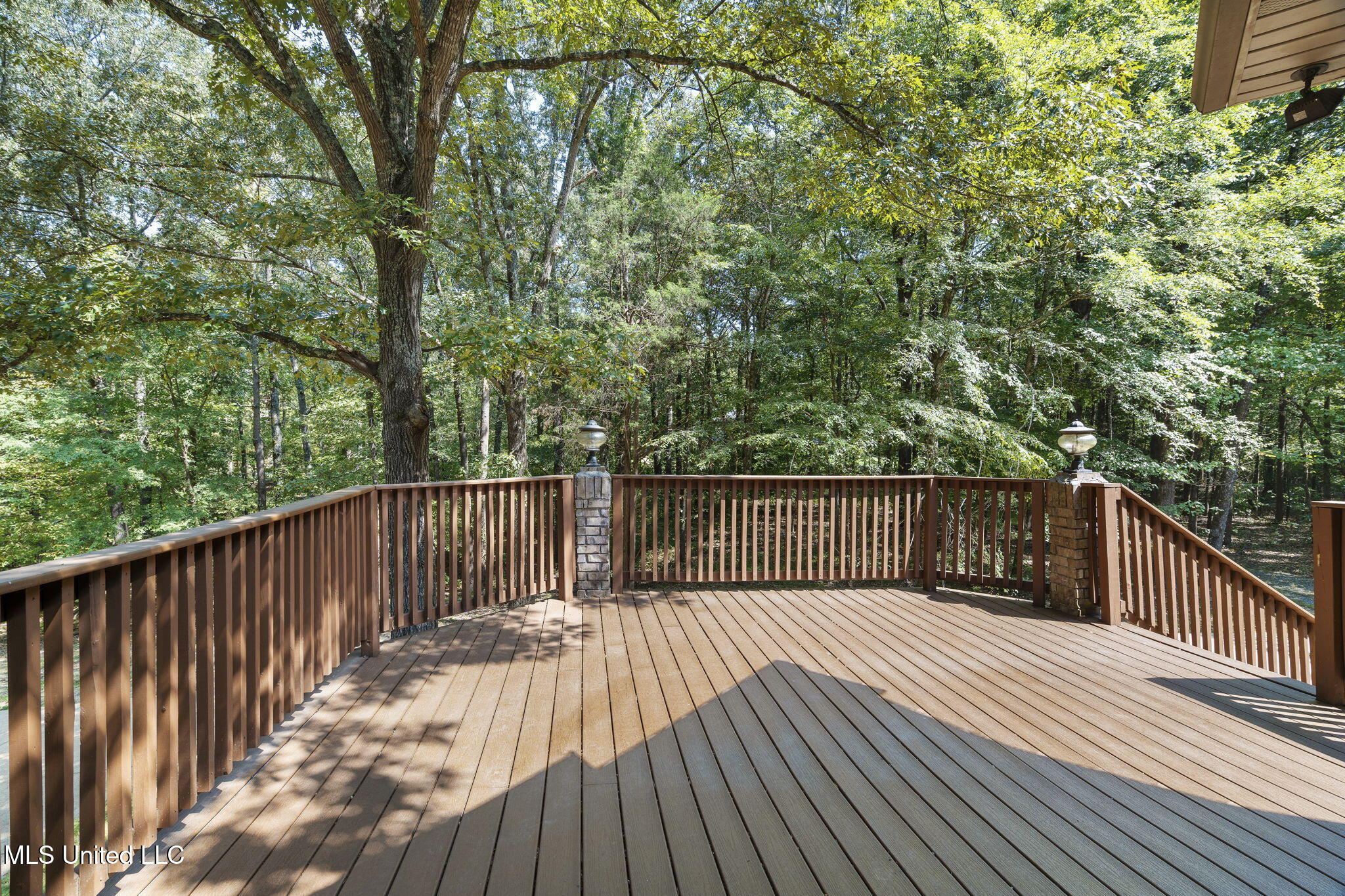 1209 Flint Lock Cove Hernando, MS 38632 - Photo 42 of 52 39-web-or-mls-1209 Flint Lock Cove-39