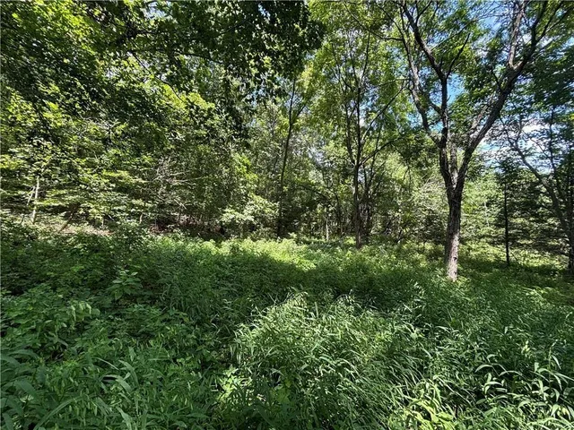 $125,000 | 0 West 750th Road, Mound City, KS 66056