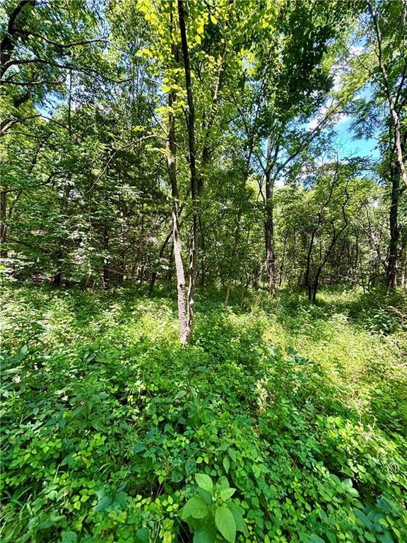 0 West 750th Road Mound City, KS 66056 - Photo 12 of 14