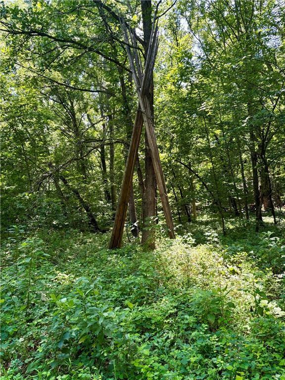 0 West 750th Road Mound City, KS 66056 - Photo 2 of 14