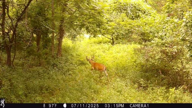 $125,000 | 0 West 750th Road, Mound City, KS 66056