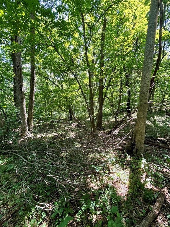 0 West 750th Road Mound City, KS 66056 - Photo 4 of 14