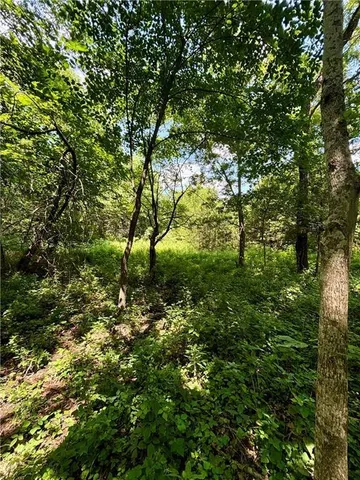 $125,000 | 0 West 750th Road, Mound City, KS 66056