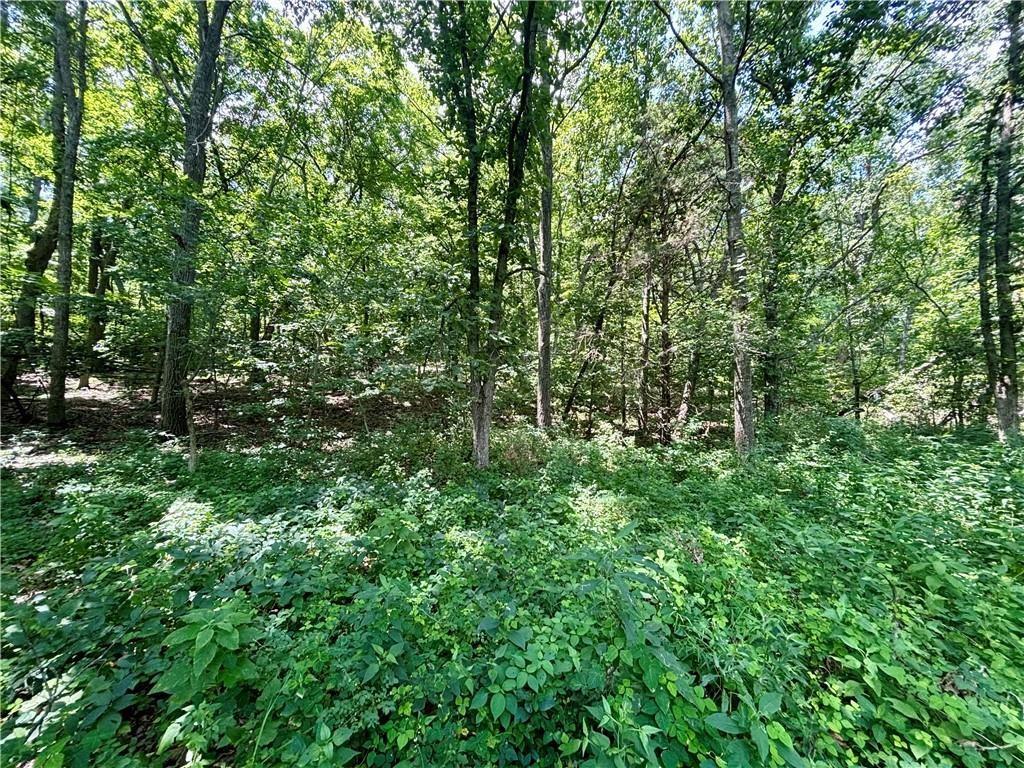 0 West 750th Road Mound City, KS 66056 - Photo 8 of 14