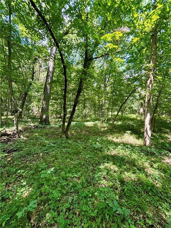0 West 750th Road Mound City, KS 66056 - Photo 9 of 14