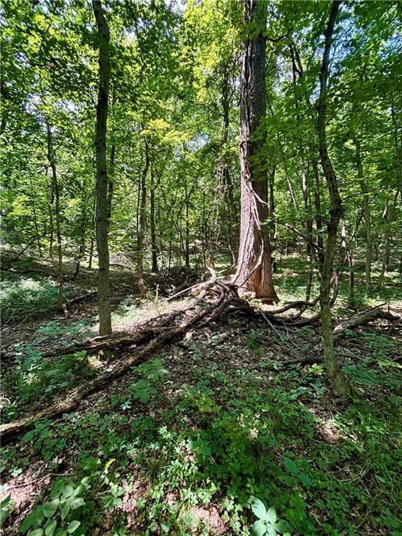 0 West 750th Road Mound City, KS 66056 - Photo 10 of 14
