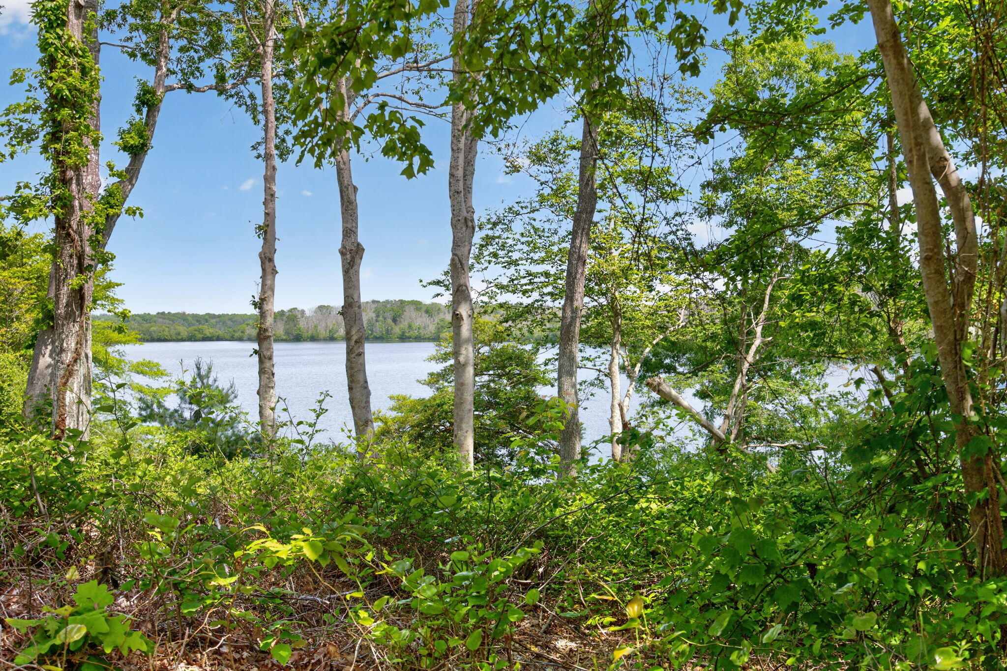 20 Hirsch Road Forestdale, MA 02644 - Photo 5 of 27 Wakeby Pond