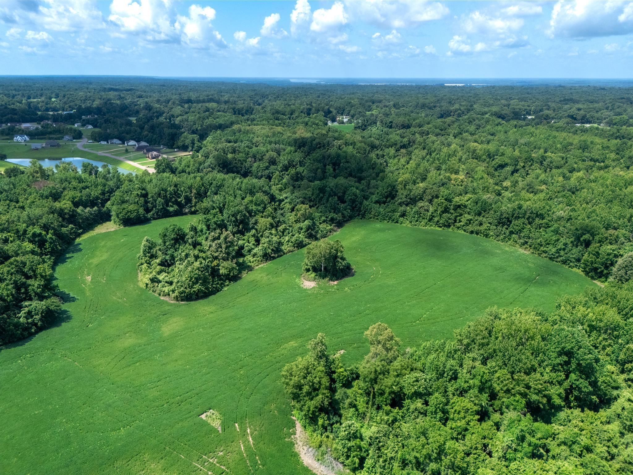 Lot 2 Dolan Road Drummonds, TN 38023 - Photo 1 of 15 Drone / aerial view featuring a water view