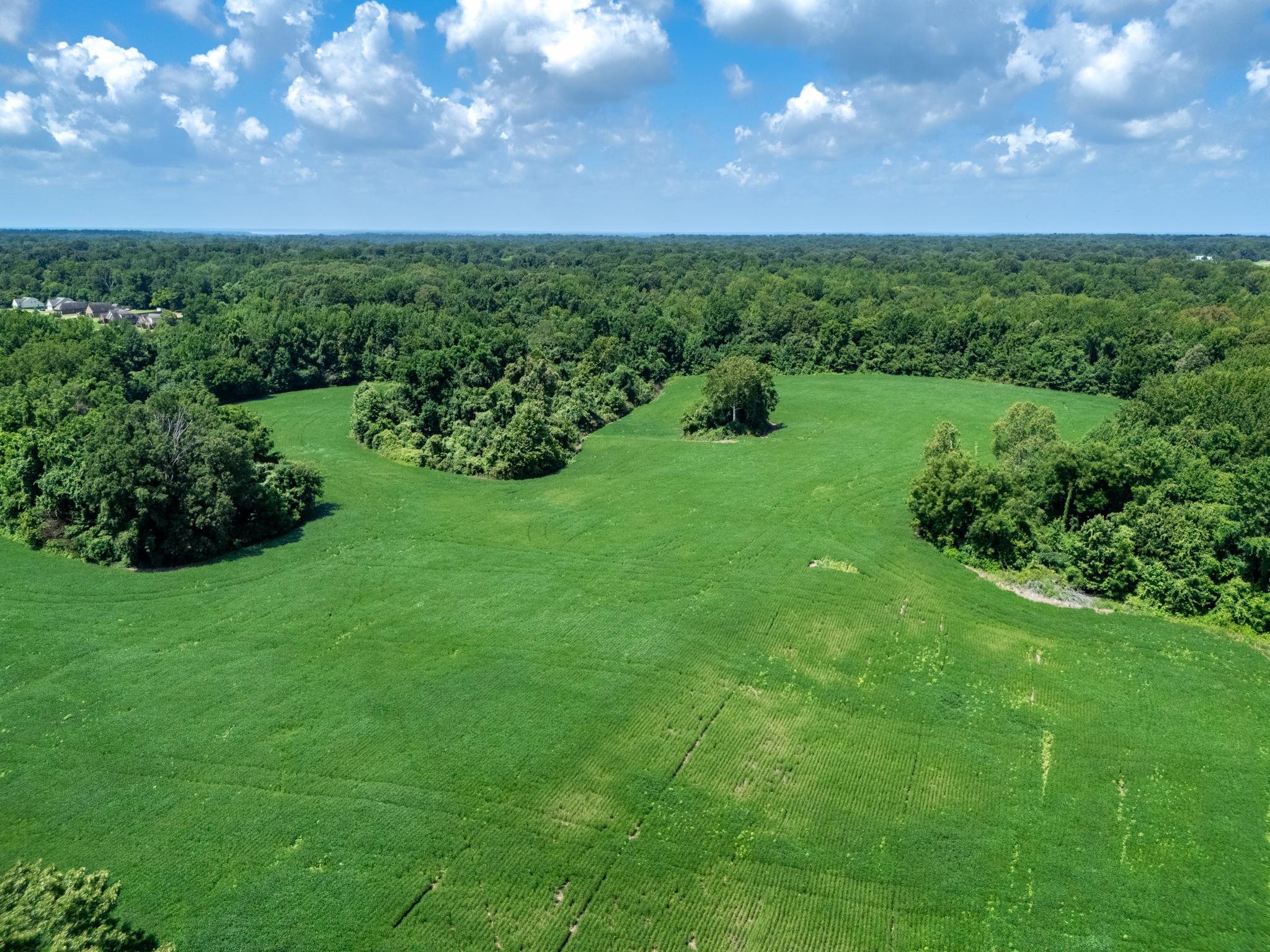 Lot 2 Dolan Road Drummonds, TN 38023 - Photo 11 of 15 Bird's eye view with a rural view