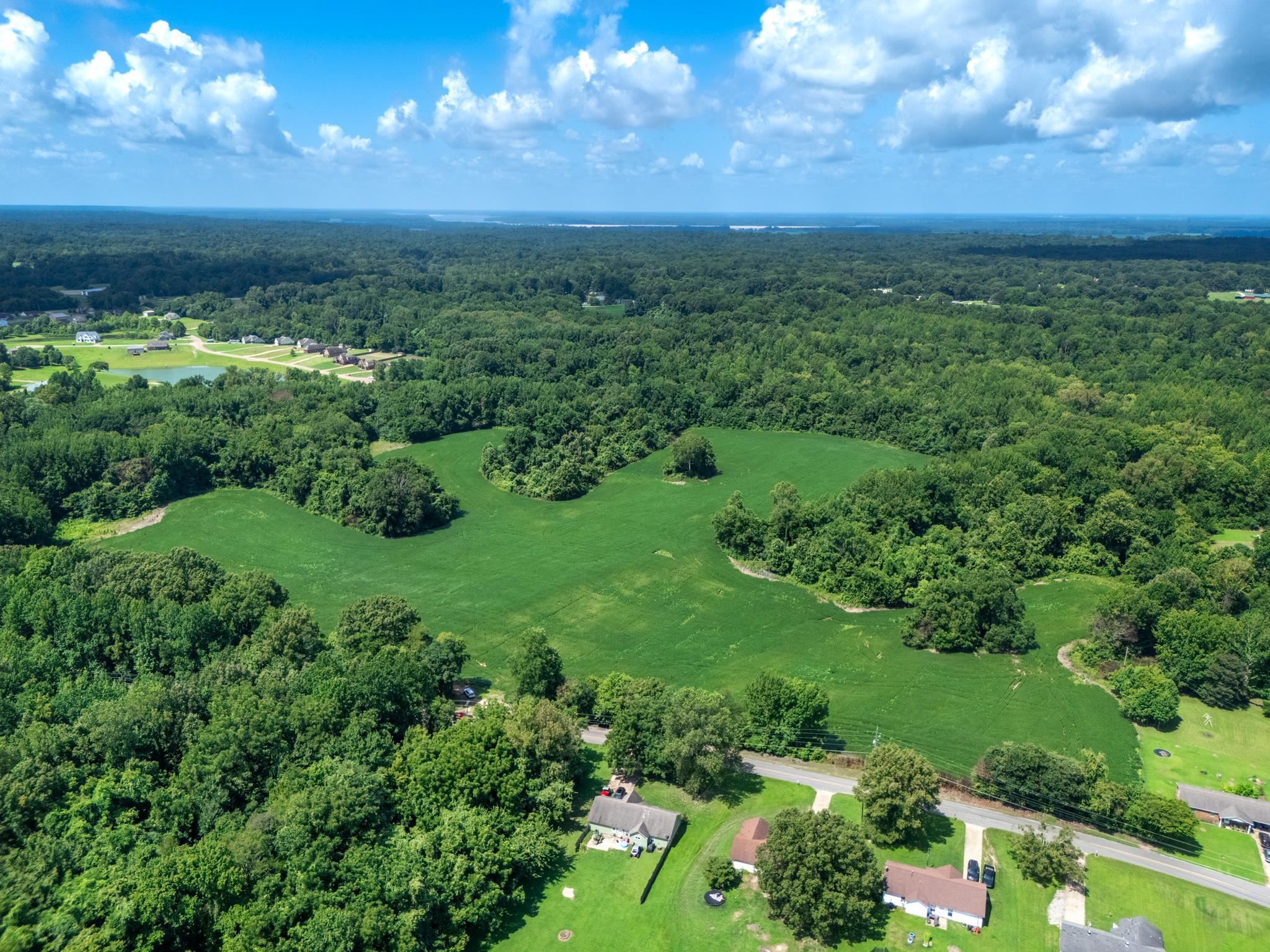 Lot 2 Dolan Road Drummonds, TN 38023 - Photo 3 of 15 Bird's eye view