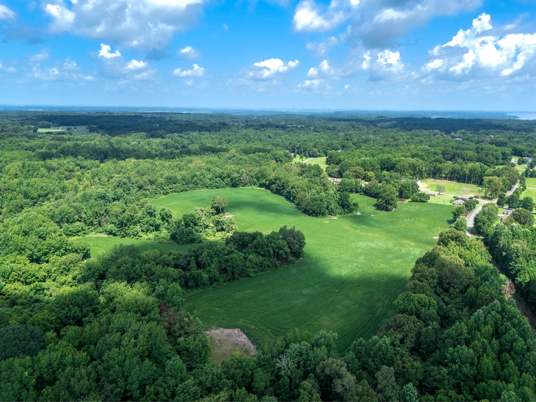 Lot 2 Dolan Road Drummonds, TN 38023 - Photo 4 of 15 Birds eye view of property