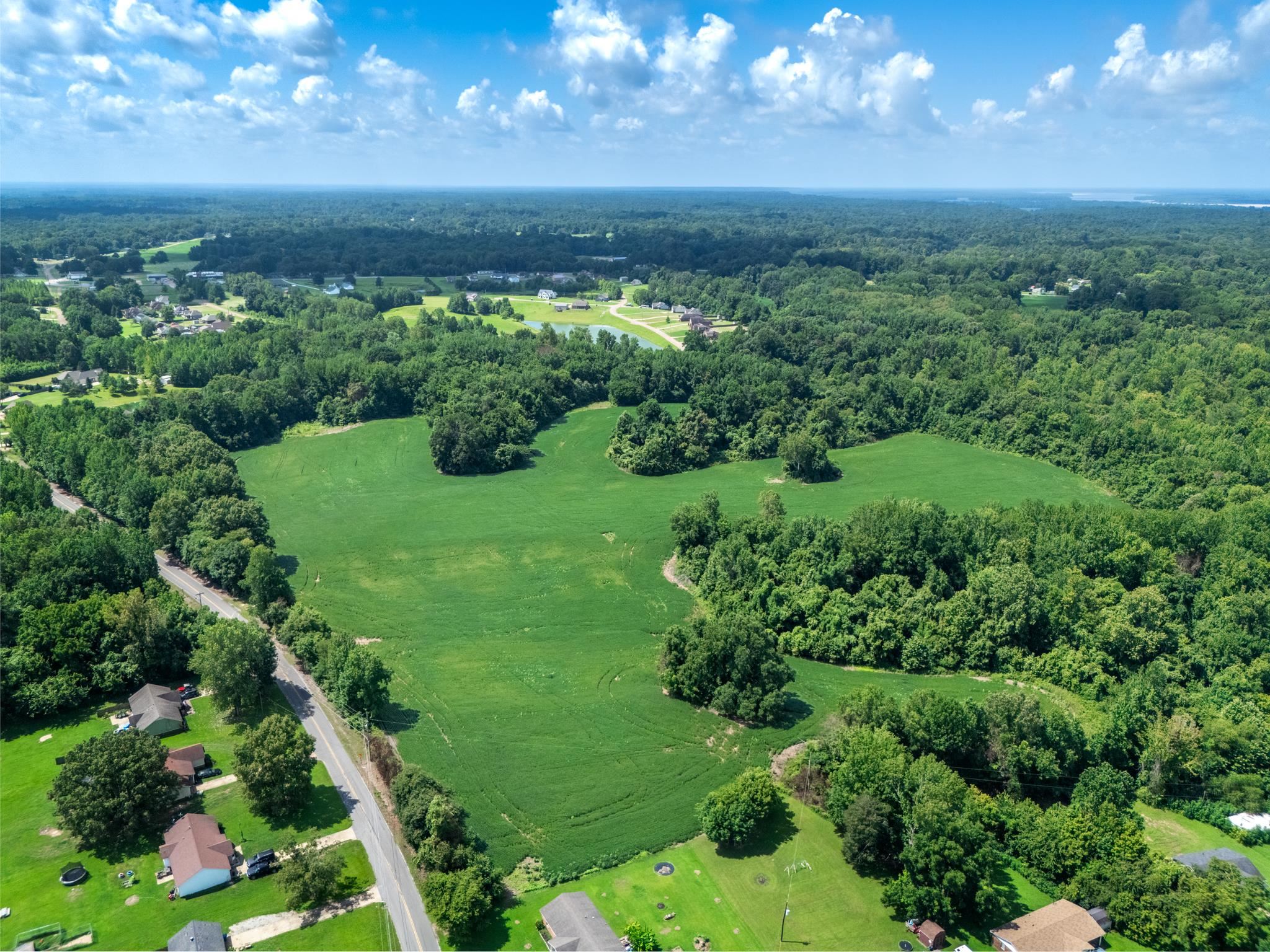 Lot 2 Dolan Road Drummonds, TN 38023 - Photo 5 of 15 Birds eye view of property