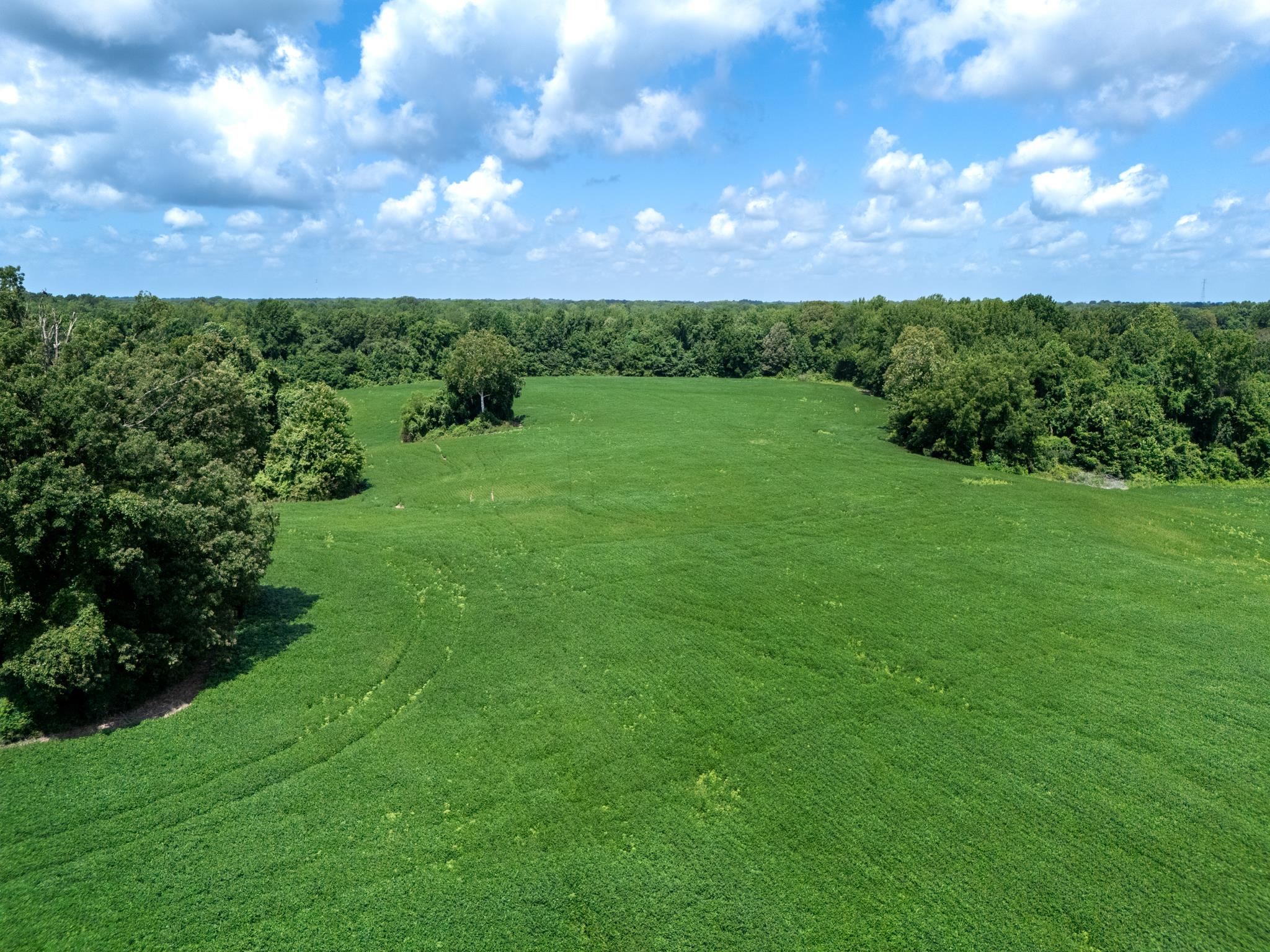 Lot 2 Dolan Road Drummonds, TN 38023 - Photo 8 of 15 Aerial view with a rural view