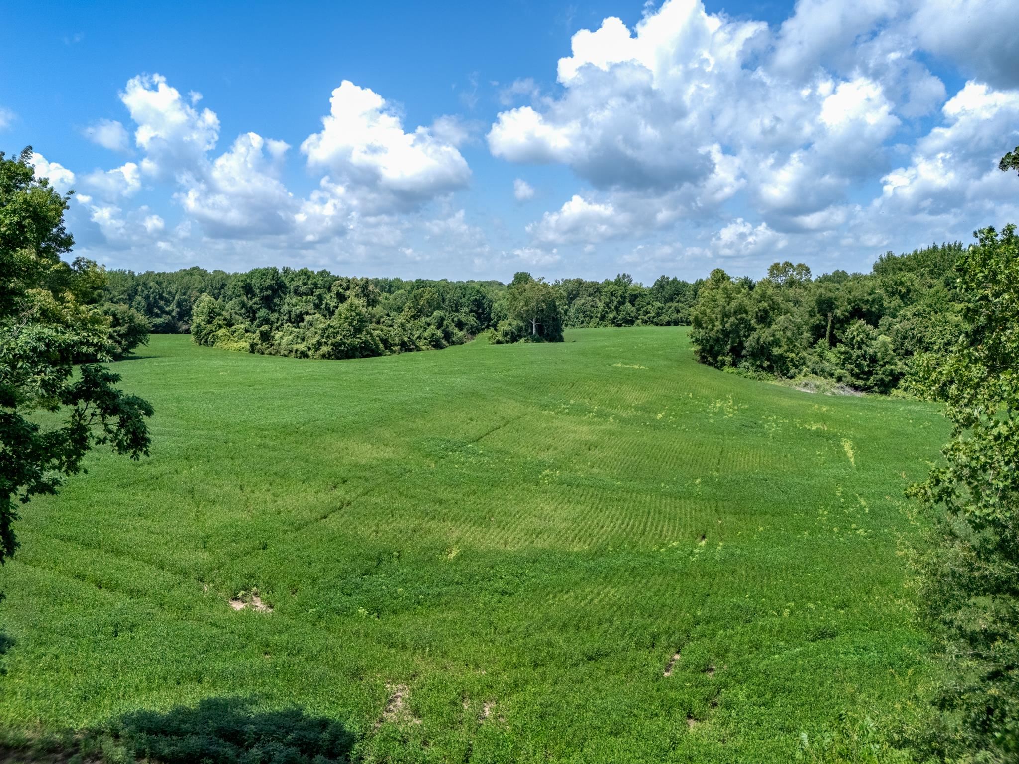 Lot 2 Dolan Road Drummonds, TN 38023 - Photo 10 of 15 View of local wilderness with a rural view