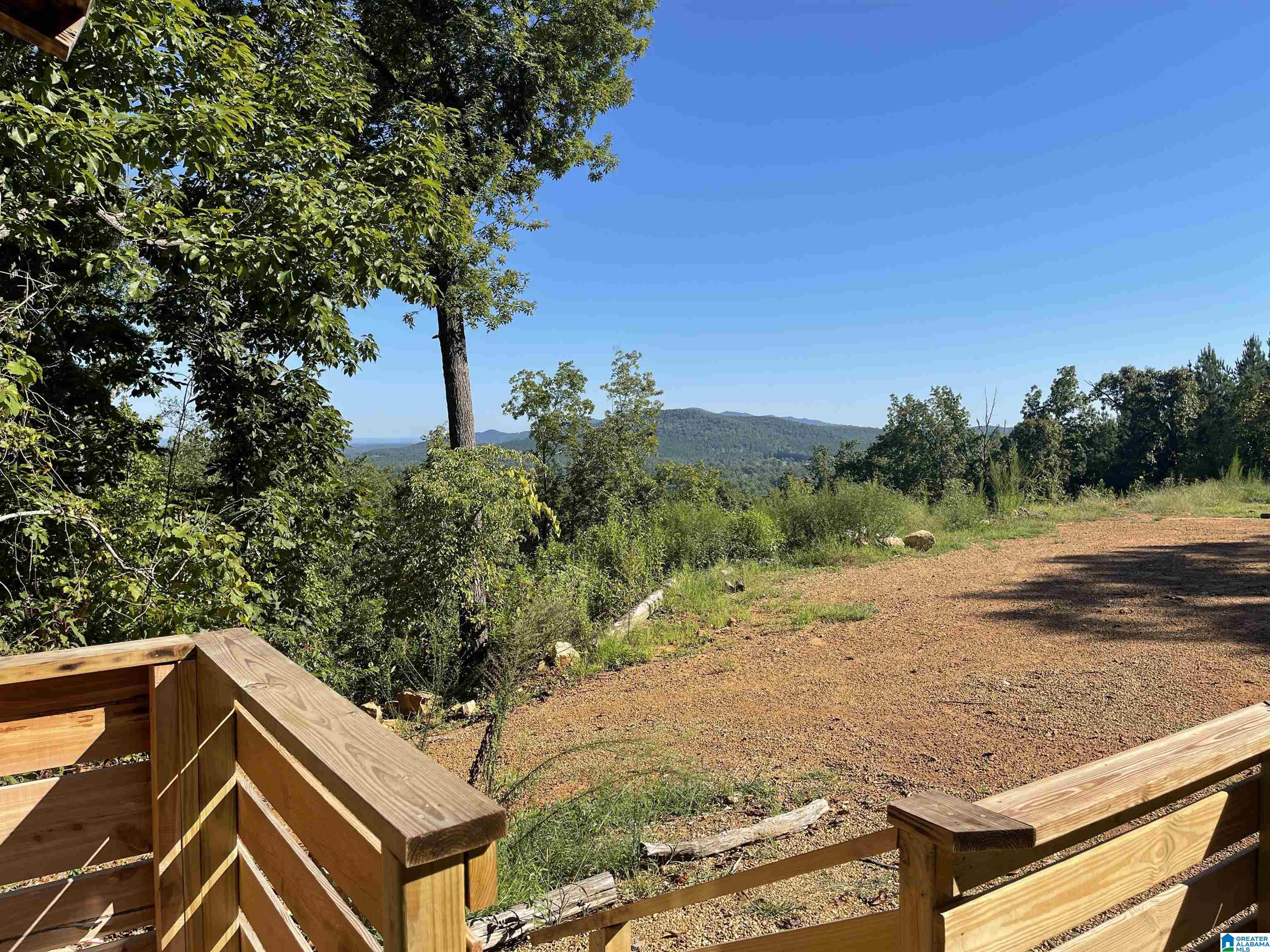 0 Benefield Gap Road Piedmont, AL 36272 - Photo 15 of 24