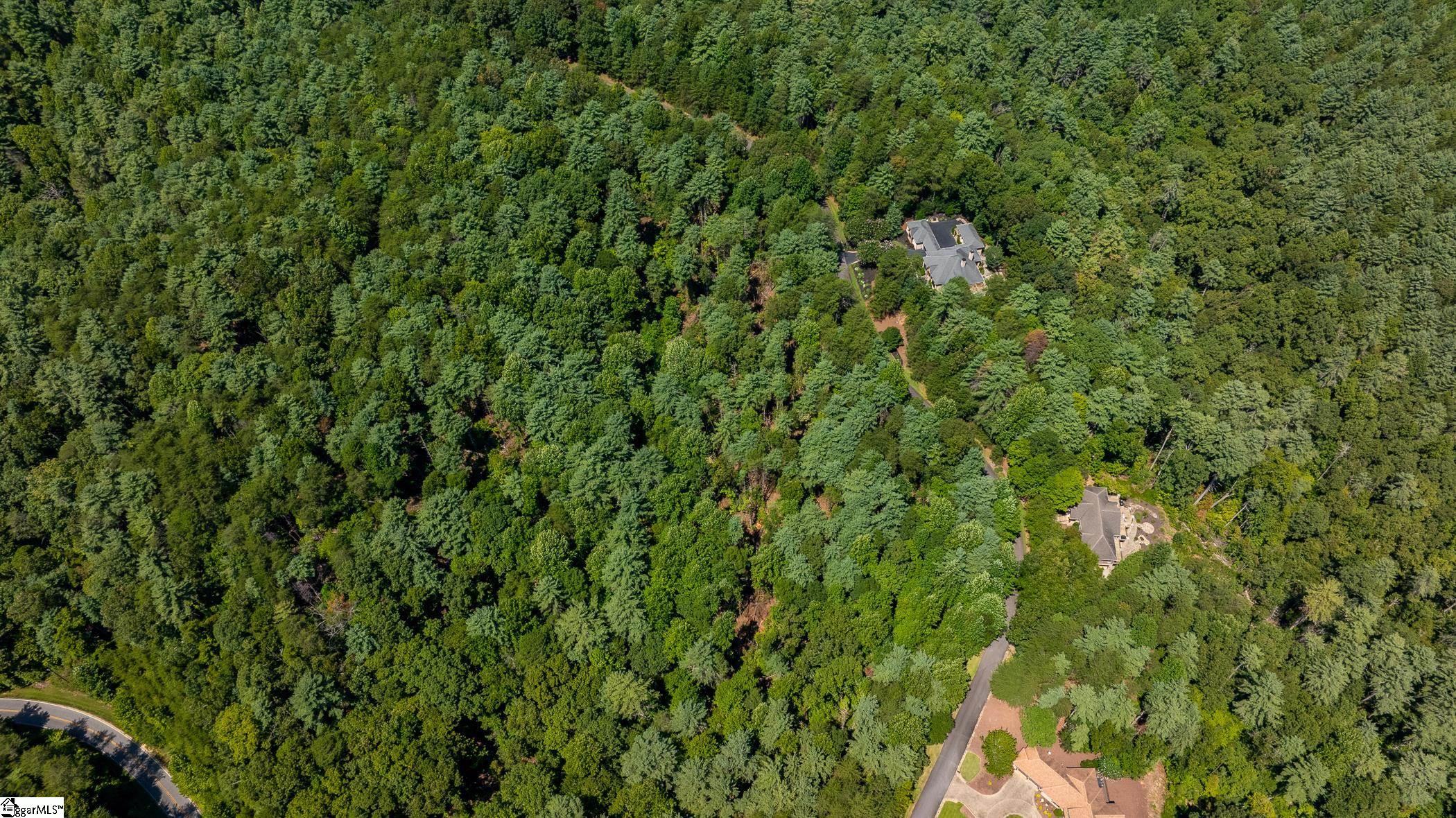 111 Sweetshrub Way Sunset, SC 29685 - Photo 10 of 23