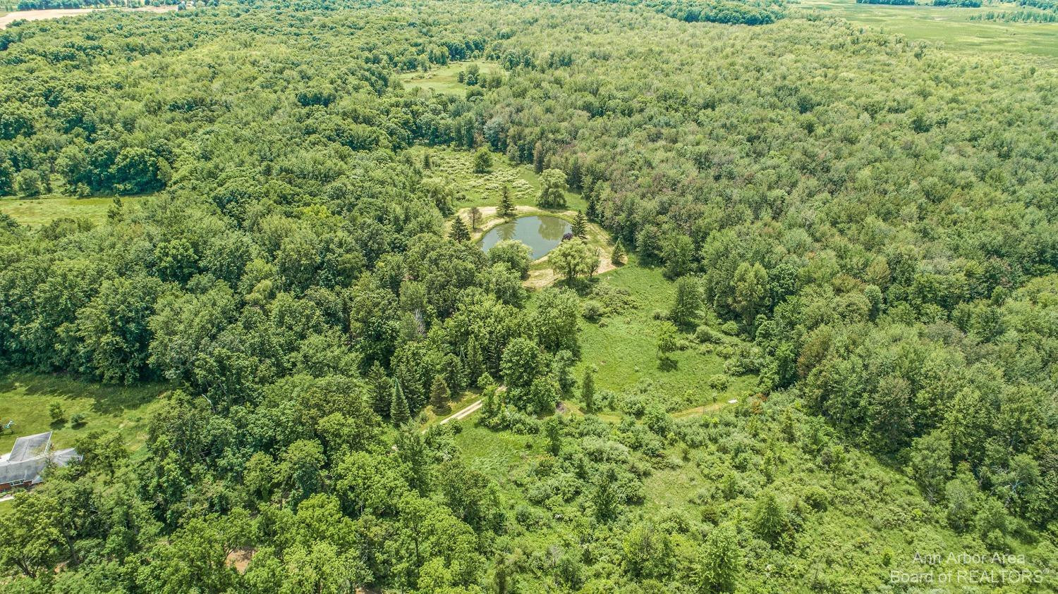 14991 Harr Road Grass Lake, MI 49240 - Photo 39 of 48 Photo 39