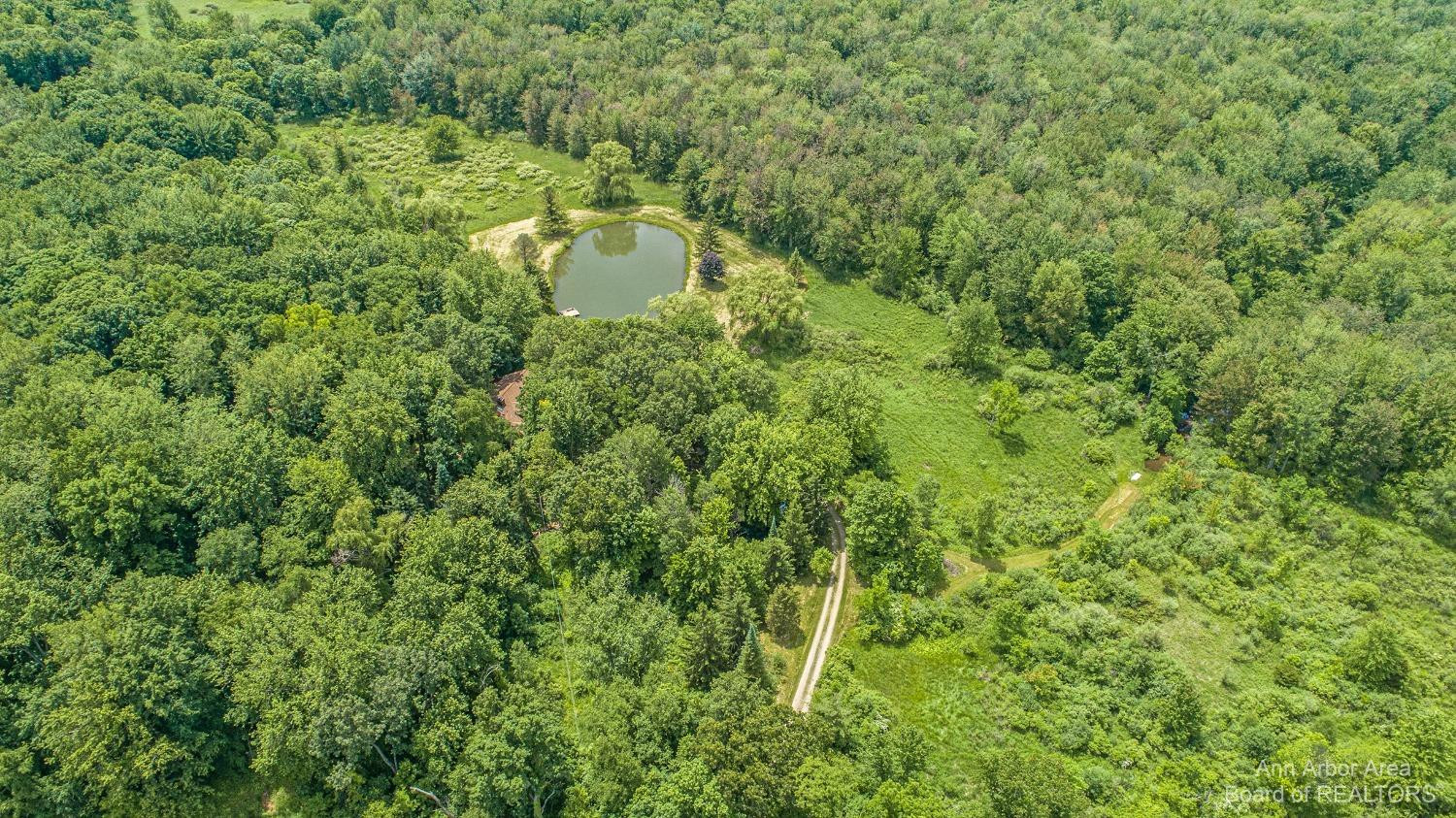 14991 Harr Road Grass Lake, MI 49240 - Photo 6 of 48 Photo 6