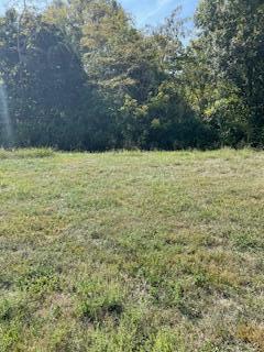 625 Persimmon Ridge Trail Richmond, KY 40475 - Photo 1 of 2 IMG_4740