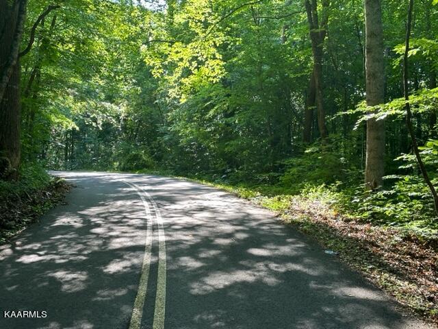 Tell Mynatt Road Knoxville, TN 37938 - Photo 1 of 4 IMG_0951