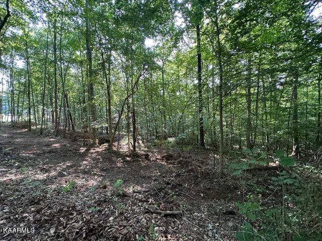 Tell Mynatt Road Knoxville, TN 37938 - Photo 3 of 4 IMG_0953