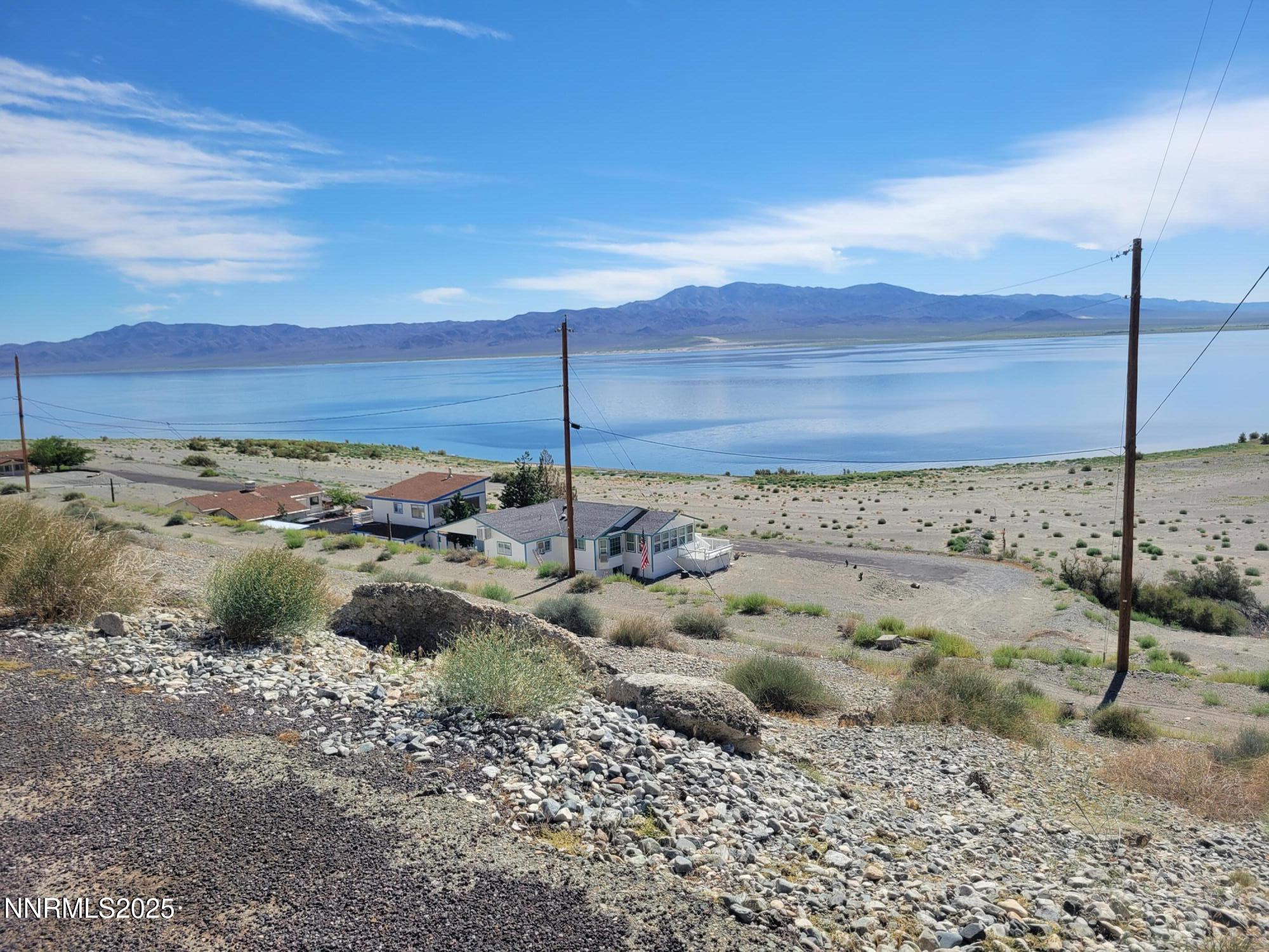 a view of a dry yard with wooden fence